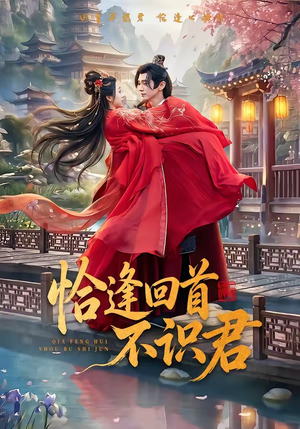 恰逢回首不识君(72集) 恰逢回首不识君(72集)第一集