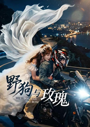 野狗与玫瑰(30集) 野狗与玫瑰(30集)观看软件