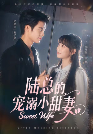 陆总的宠溺小甜妻(61集) 陆总的宠溺小甜妻(61集)好看短剧追不停