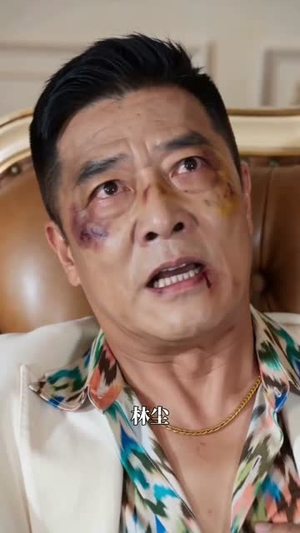 隐龙归来之奋斗的归来(30集) 隐龙归来之奋斗的归来(30集)免费在线看