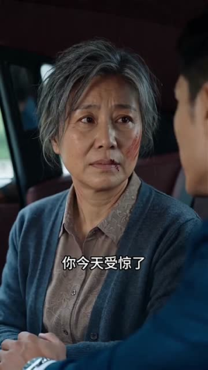 护母踏平风云(55集) 护母踏平风云(55集)夸克网盘观看