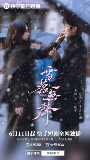 雪落无声(20集) 雪落无声(20集)在线看免费版