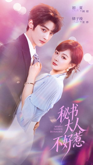 秘书大人不好惹(62集) 秘书大人不好惹(62集)追短剧看全集