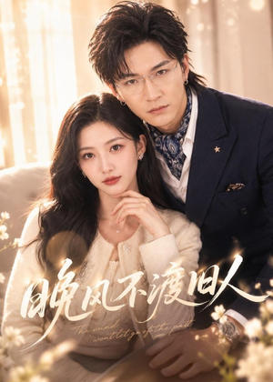 晚风不渡旧人(34集) 晚风不渡旧人(34集)解说