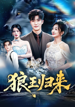 狼王归来(51集) 狼王归来(51集)短剧免费看全集