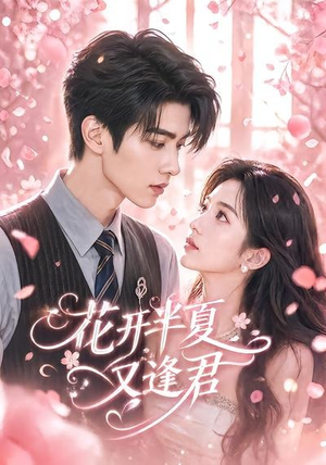 花开半夏又逢君（59集）精彩短剧看全集