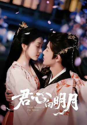 君心向明月(60集) 君心向明月(60集)精彩的短剧