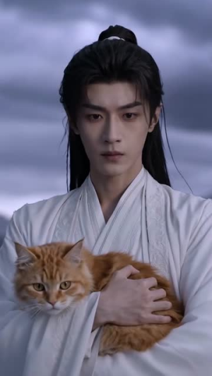 傲娇猫猫今天也想恢复人形（72集）精彩短剧天天看