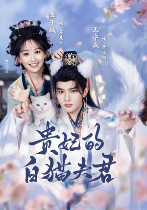 贵妃的白猫夫君(81集) 贵妃的白猫夫君(81集)短剧解说热门