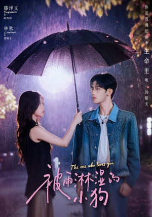 被雨淋湿的小狗(80集) 被雨淋湿的小狗(80集)热播短剧重燃