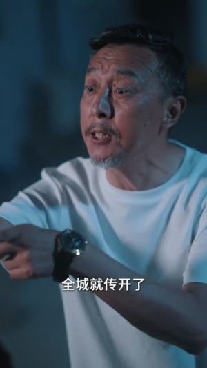 别跟老实人讲规矩(65集) 别跟老实人讲规矩(65集)全集一网打尽