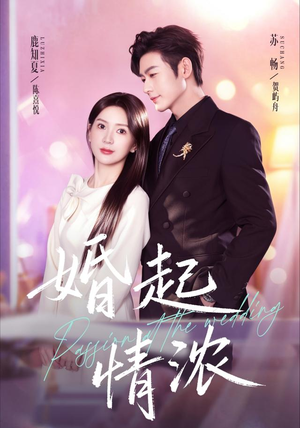 婚起情浓(99集) 婚起情浓(99集)短剧看全集