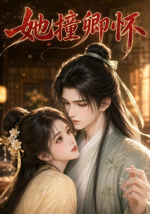 她撞卿怀(30集) 她撞卿怀(30集)第32集