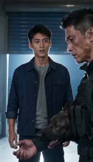 犬语翻译官(41集) 犬语翻译官(41集)百度在线观看