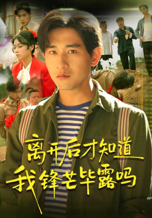 离开后才知道我锋芒毕露吗（87集）第一季