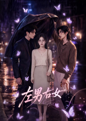 左男右女(63集) 左男右女(63集)全集免费