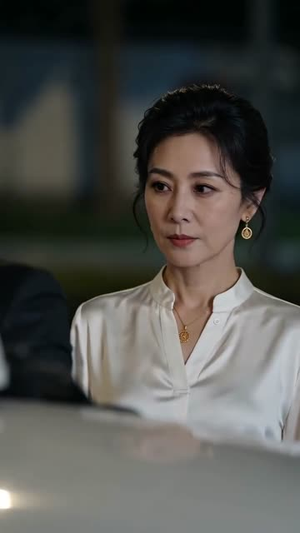 晚风渡中年,暖意赴余生(72集) 晚风渡中年,暖意赴余生(72集)最新上映免费看