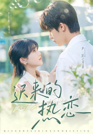 迟来的热恋(80集) 迟来的热恋(80集)精彩连连免费看