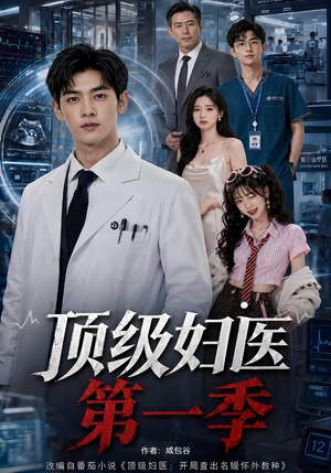 顶级妇医第一季(63集) 顶级妇医第一季(63集)一共多少集
