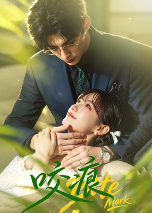 咬痕（60集）完整版