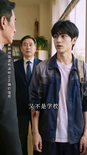 青春向上,少年自有锋芒(30集) 青春向上,少年自有锋芒(30集)360网盘观看