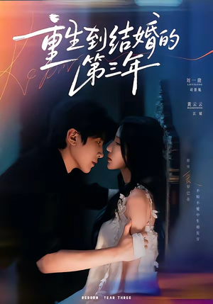 重生到结婚的第三年(73集) 重生到结婚的第三年(73集)全集免费看短剧