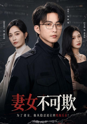 妻女不可欺(61集) 妻女不可欺(61集)在线看免费版