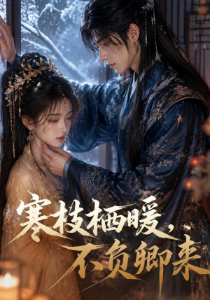 寒枝栖暖,不负卿来(50集) 寒枝栖暖,不负卿来(50集)爆款短剧推荐