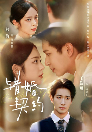错婚契约(66集) 错婚契约(66集)免费短剧大全