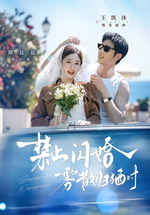 禁止闪婚，雾散归栖时（66集）一个短剧看全集