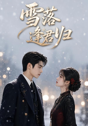 雪落逢君归(116集) 雪落逢君归(116集)小短剧推荐