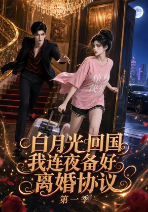 白月光回国我连夜备好离婚协议第一季(98集) 白月光回国我连夜备好离婚协议第一季(98集)完整版