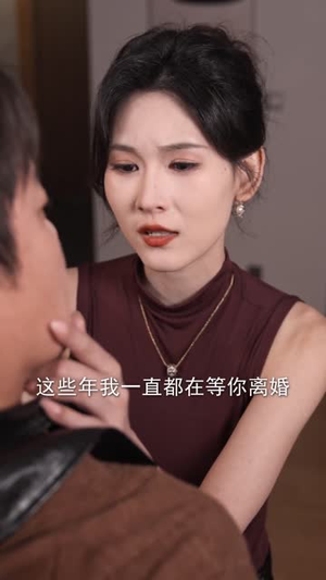 告别失败婚姻后我涅槃重生（92集）短剧小说在线看