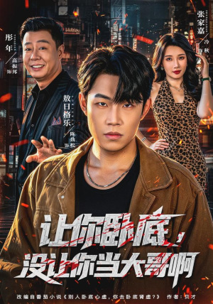 让你卧底,没让你当大哥啊(80 集) 让你卧底,没让你当大哥啊(80 集)精彩短剧天天看
