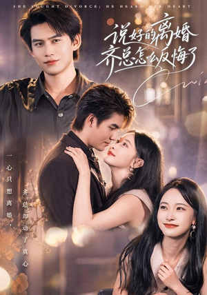 说好的离婚齐总怎么反悔了(40 集) 说好的离婚齐总怎么反悔了(40 集)解说文案
