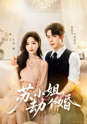苏小姐，劫个婚（80 集）热门短剧免费看