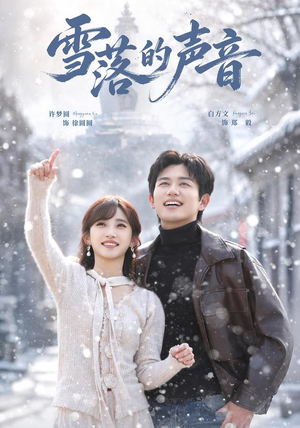 雪落的声音(83 集) 雪落的声音(83 集)全季一次看完