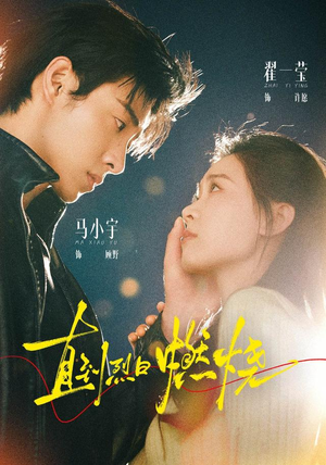 直到烈日燃烧(63 集) 直到烈日燃烧(63 集)高清画质免费看