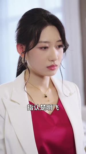 银发保安(95 集) 银发保安(95 集)在哪个平台能看