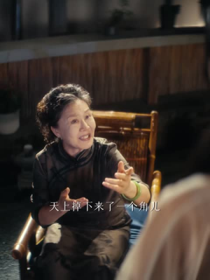 梨园祖师奶穿成糊咖,整顿内娱(60 集) 梨园祖师奶穿成糊咖,整顿内娱(60 集)电脑看剧