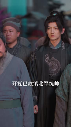 隐龙卫（82 集）感情戏