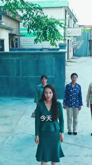 只剩三个月，桂芬不伺候了（50 集）最新全集