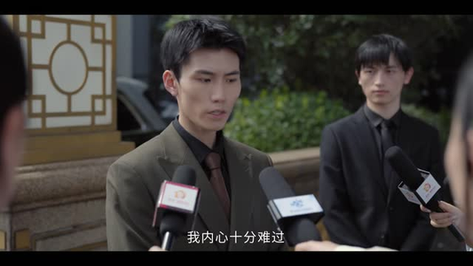 羽刃(20 集) 羽刃(20 集)看到真相大白那一刻太爽了